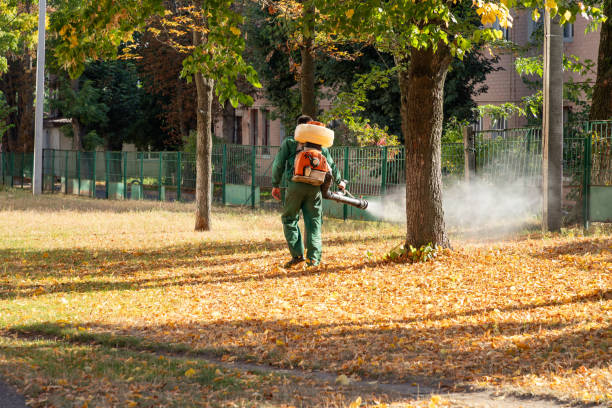Best Termite Control Services  in Amberley, OH
