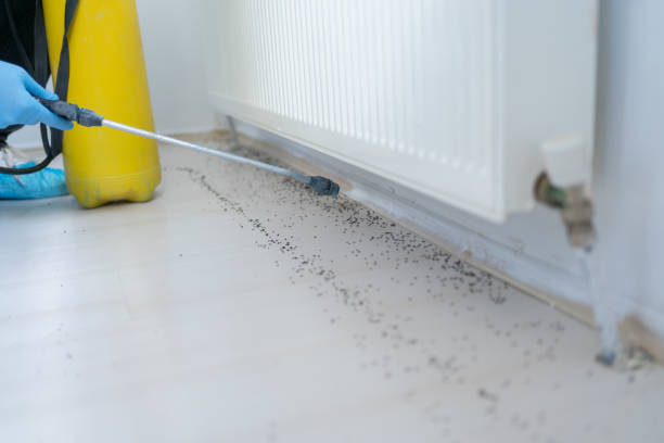 Best Pest Prevention Services  in Amberley, OH