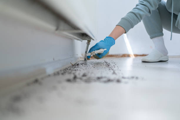 Best Best Pest Control Companies  in Amberley, OH