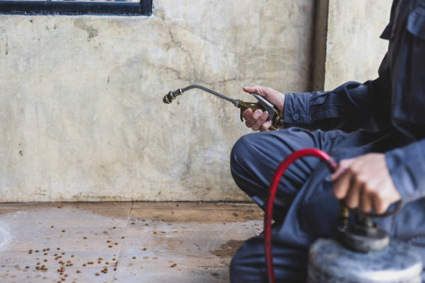 Best Pest Removal Services  in Amberley, OH